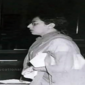 Begum Aizaz Rasul - Constitution of India